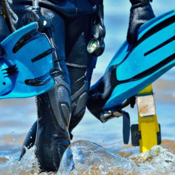 Best Scuba Fins: Reviews Of Our Favorite Pairs