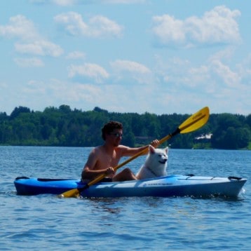 Happiness Is Dogs in Kayaks