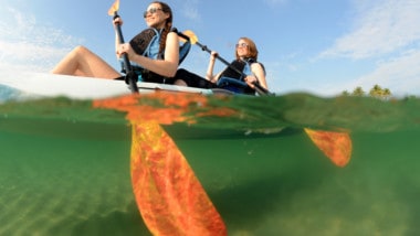 The Best Kayak Paddle: A Needed Investment