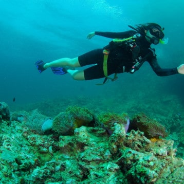 What is Scuba Diving & Do I Need to Be Certified to Try It?